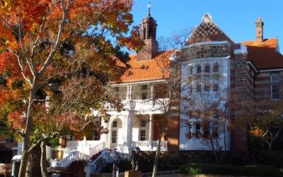 Gigabit Data Cabling Project in Focus